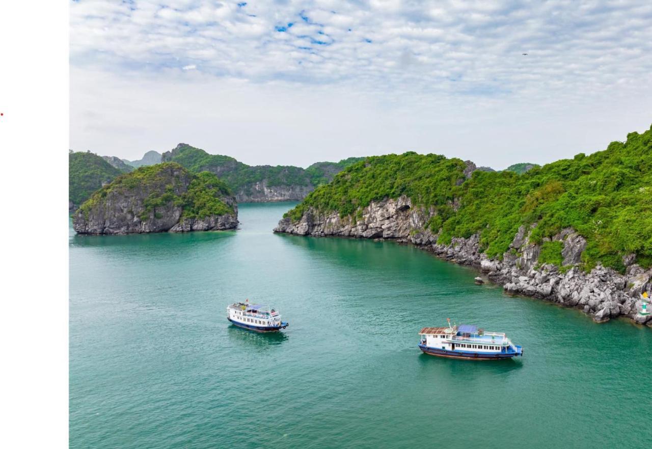 Nhat Anh Hotel Cat Ba Dong Khe Sau Ngoại thất bức ảnh